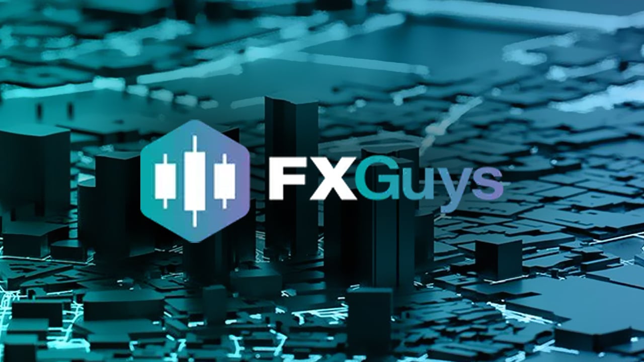 Fxguys Project Drawing Interest From Solana &Amp; Arbitrum Holders?