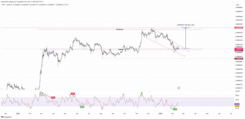 PEPE/USDT Daily Price Chart