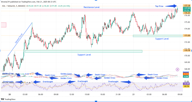 Sol Price Chart