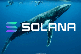 Whale Moves $20.8M In Sol From Binance, Is A Rally Coming