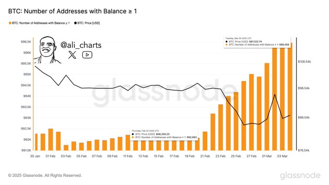 4,375 New Wallets Holding Over 1 $Btc Have Been Created In The Last Two Weeks