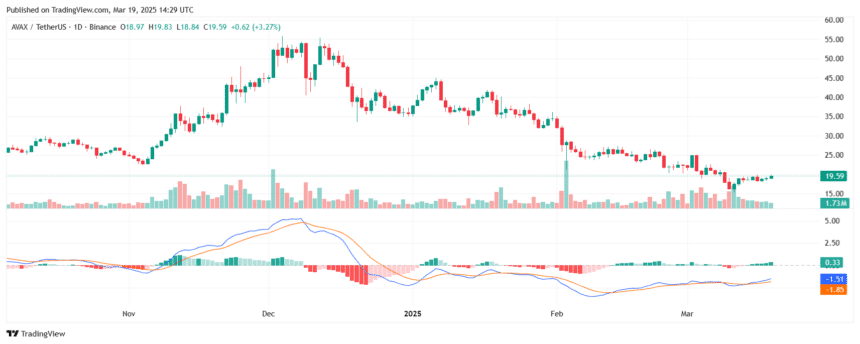 Is Avax Headed For $24? Whales Bet Big As Etf Hype Builds 3 Avax Price Chart