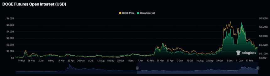 Doge Open Interest
