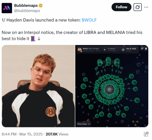 Hayden Davis Launches $Wolf Token Amid Interpol Red Notice 2 Hayden Davis Launches $Wolf
