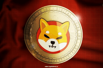 Shiba Inu On-Chain Hints Bullish Rise! Shib Price Poised For 15% Rally