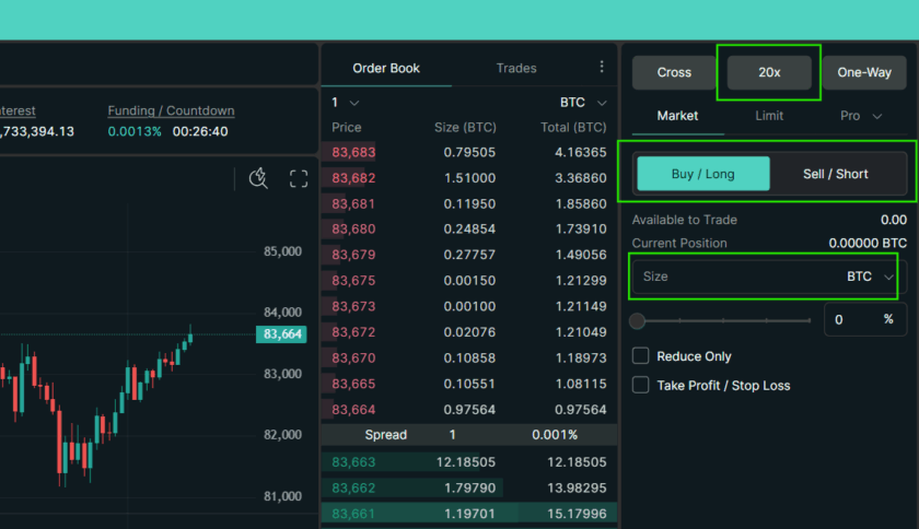 Explained: What Is Viral Hyperliquid Exchange And How To Use It? 7 Step 5 Place Trade