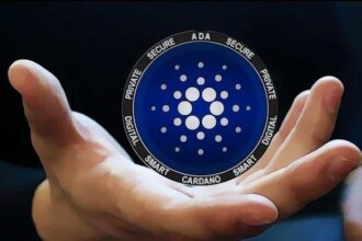 Will Gemini List Cardano Ada Now, With Trump Supporting It