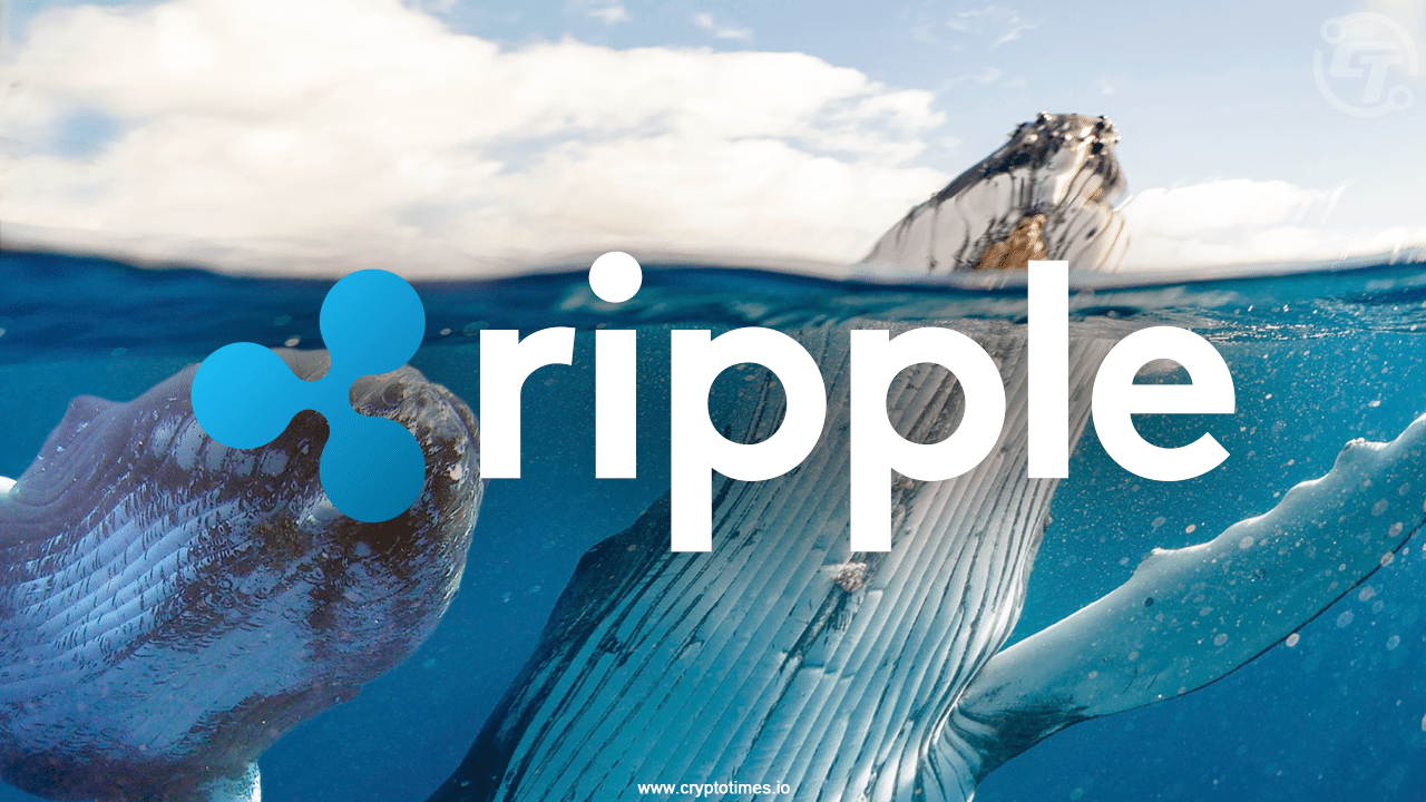 Xrp Whales Invest Big In Xrpturbo As Sec Case Nears End