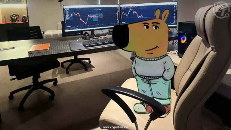 CHILLGUY Meme Coin Pumps 28%; Could it Make a Comeback?