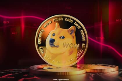 Doge Price Fumbles As Elon Musk Says 'No Plans' On Using Dogecoin