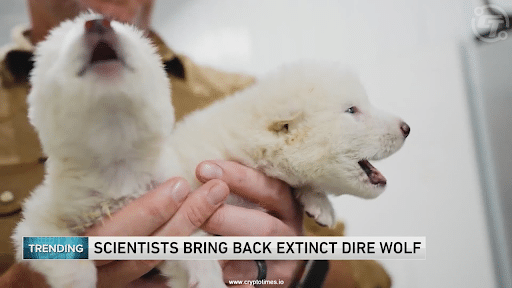 Dire Wolves Back From Extinction, Remus Coin Shots-Up 5665%!