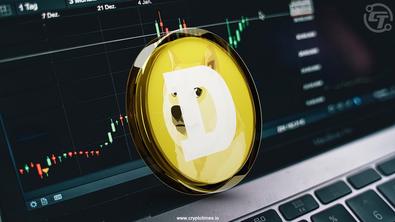 Dogecoin Could Hit $2.5 By 2030 Before A Major Crash Coindcx