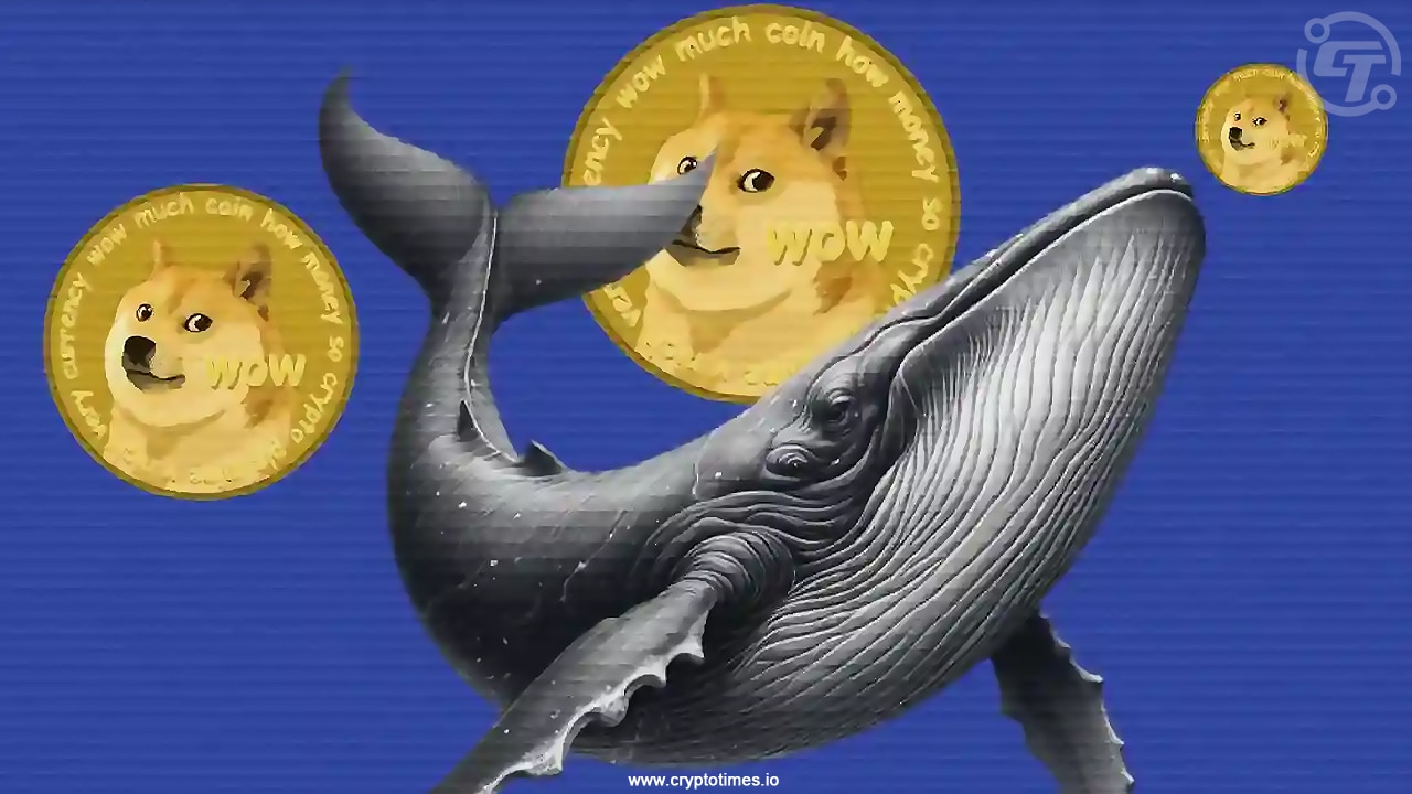 Dogecoin Whales Offload 570 Million Doge As Price Fails To Recover