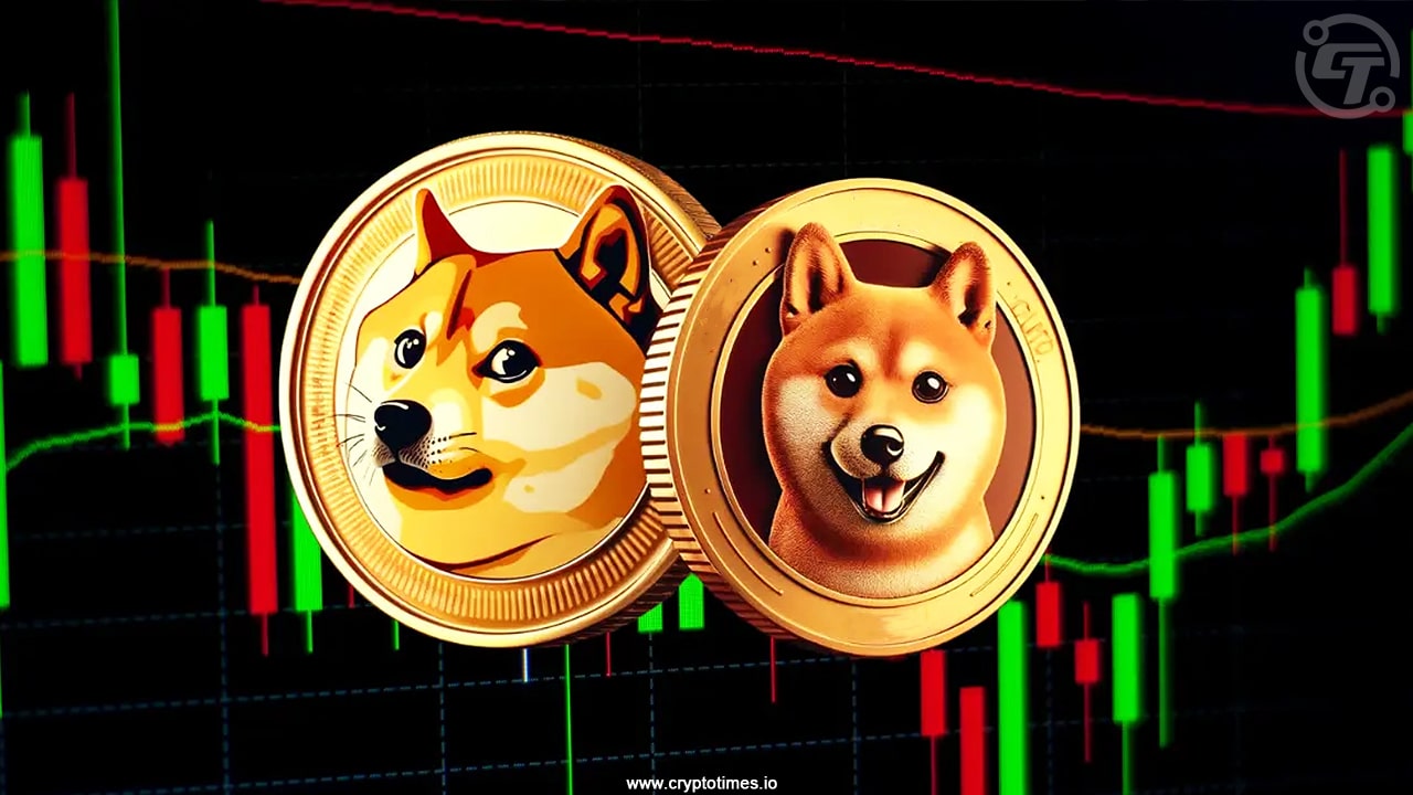 Dogecoin Or Shiba Inu Which One Will Bag More Gains Next Week