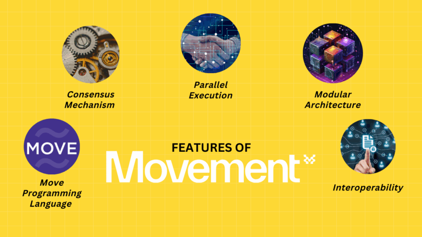 Features Of Movement Network