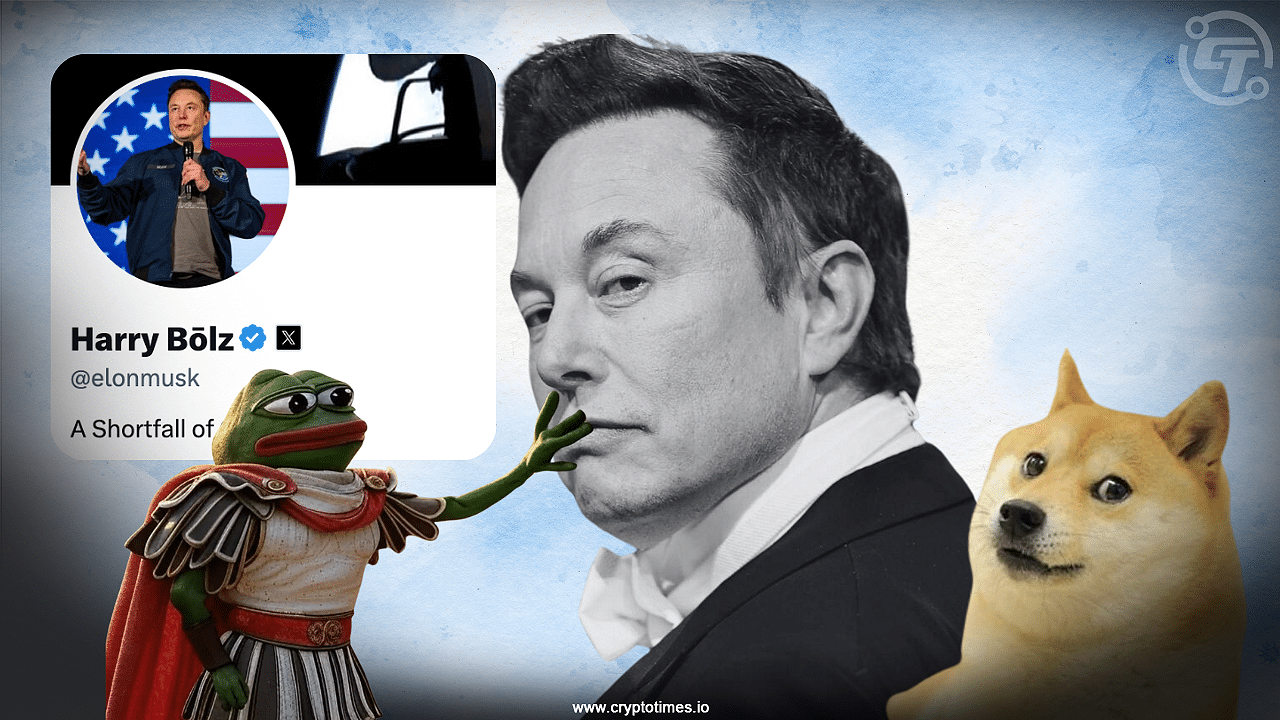 Harry Bolz, Kekius Maximus And Doge Inside The World Of Elon Musk And Memes