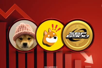 Memecoins Lose Strength: Bonk, Spx, Wif Drops 12% In 24 Hours