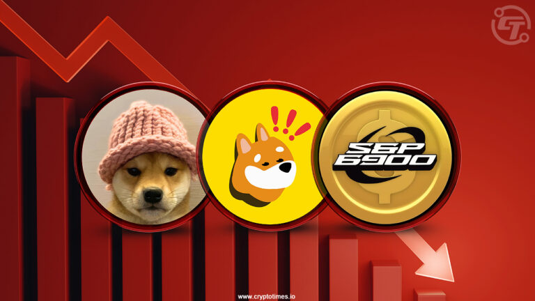Memecoins Lose Strength: BONK, SPX, WIF Drops 12% in 24 Hours