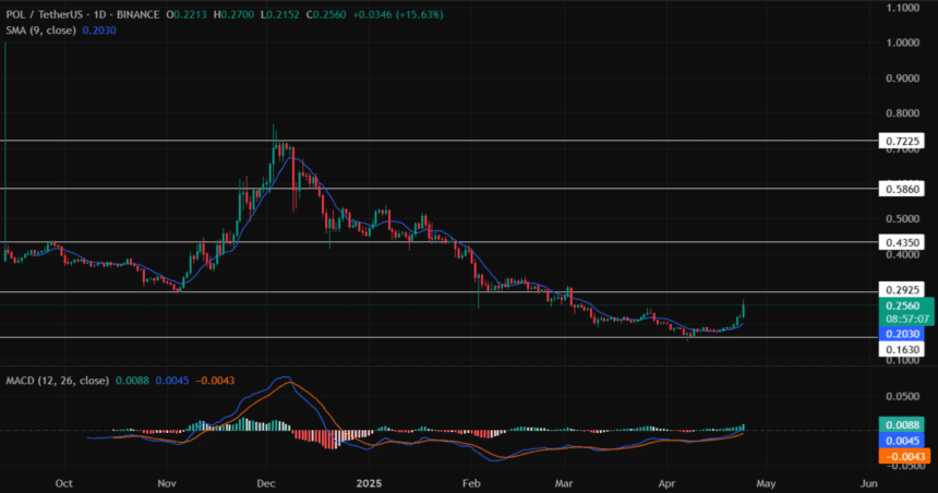 Polygon Price Chart