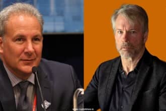 Peter Schiff Dares Saylor To Go All In As Bitcoin Plunges_