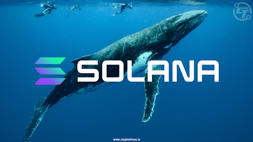 Solana Whales Sell $50M In Tokens After $206M Staking Unlock