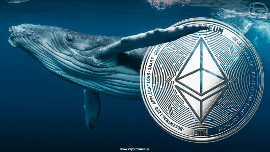 Whale Acquires $65M Of Eth In Past 10 Days Amid Price Drop