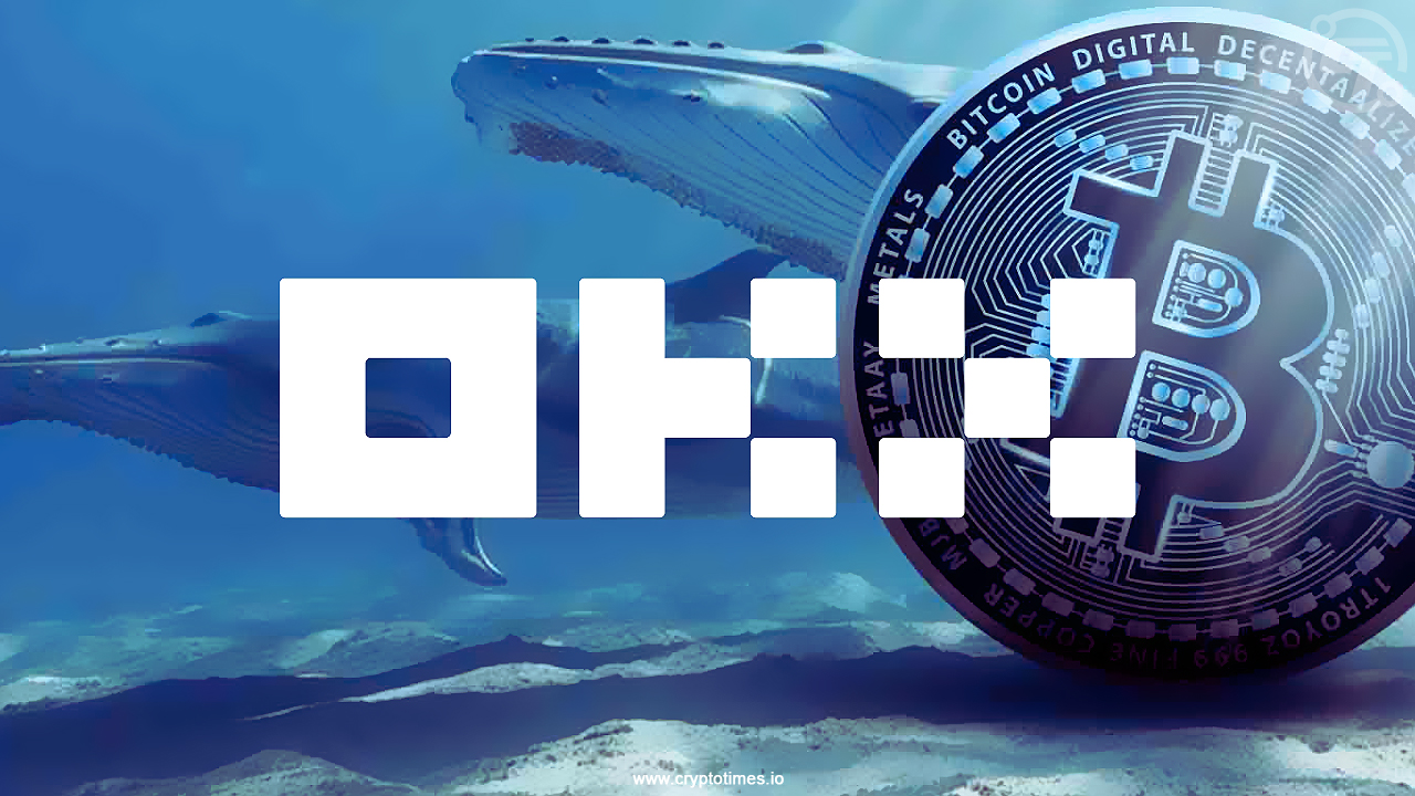 Whale Withdraws 1,500 Bitcoin From Okx; Why Are Whale Activities Surging?