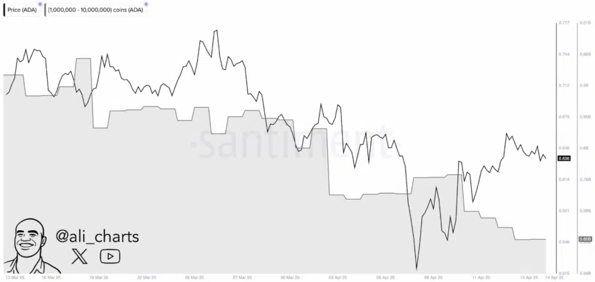 Whales Dump 100M Ada As Cardano Faces Key Resistance Level 2 Whales Sell 100M Ada