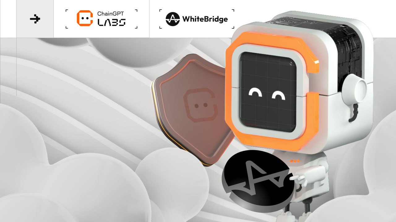Why Chaingpt Labs Backs Whitebridge To Transform People-Data Ai