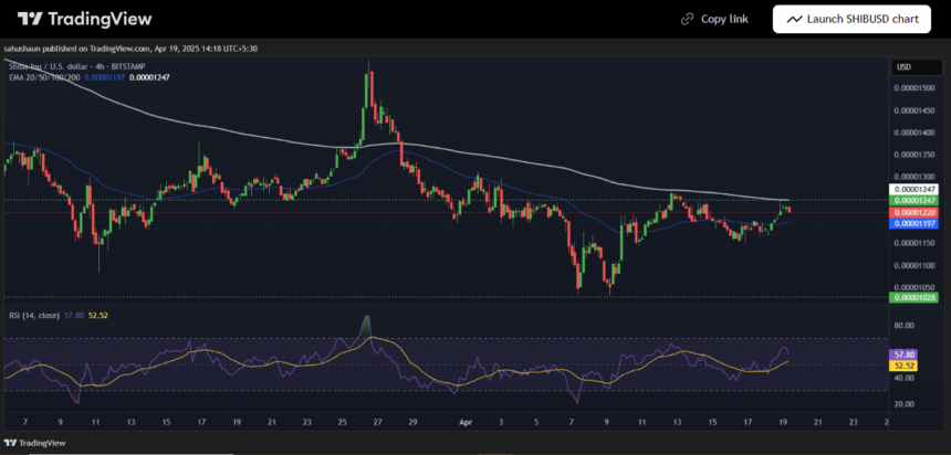 Trading View Shiba Inu