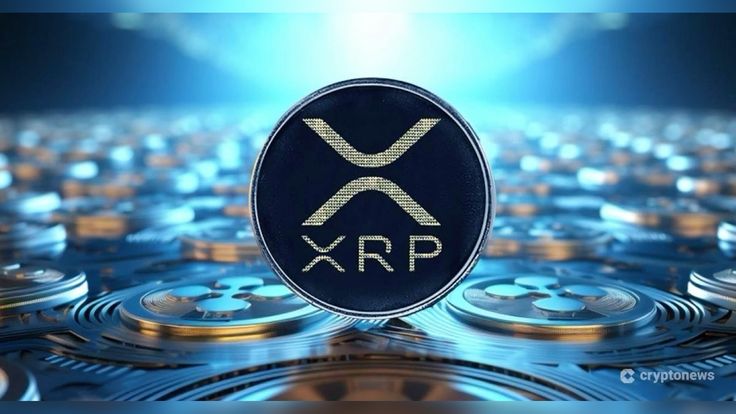 Americans Can Now Donate XRP and RLUSD for Education