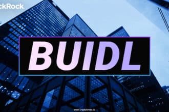 Buidl: Blackrock'S First Tokenized Fund For Institutional Players