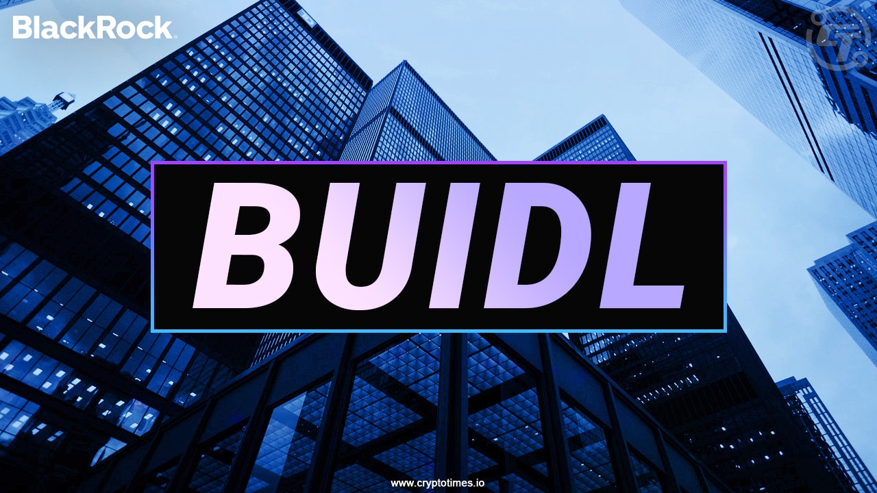 Buidl: Blackrock'S First Tokenized Fund For Institutional Players