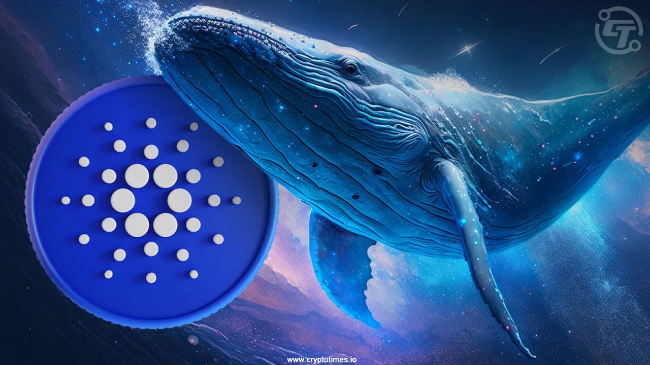 Cardano Price Eyes Breakout As Whales Scoop 180 Million ADA
