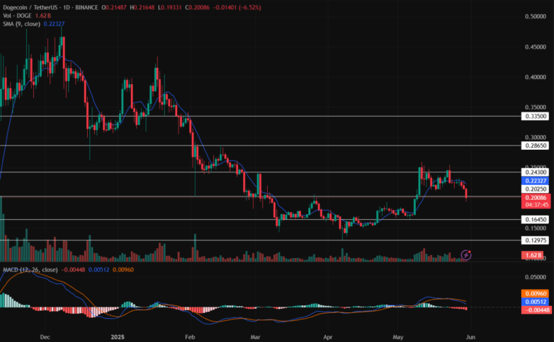 Doge/Usdt Price Chart