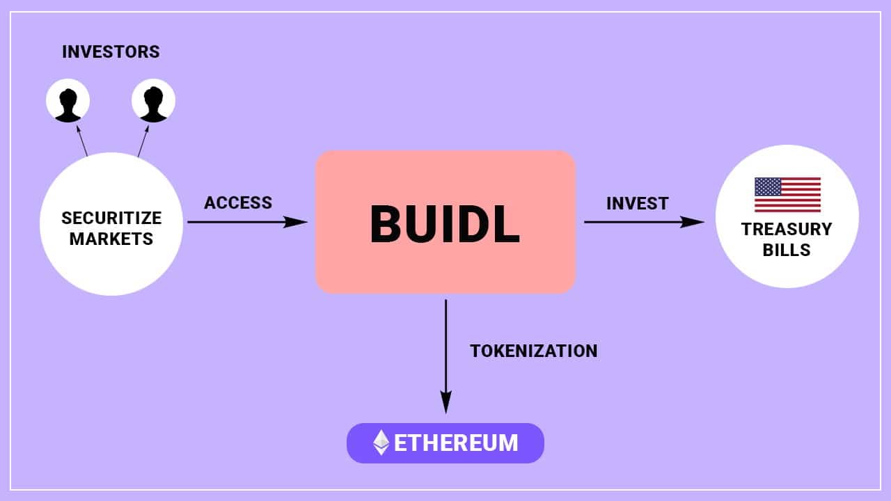 Digital Accessibility of BUIDL