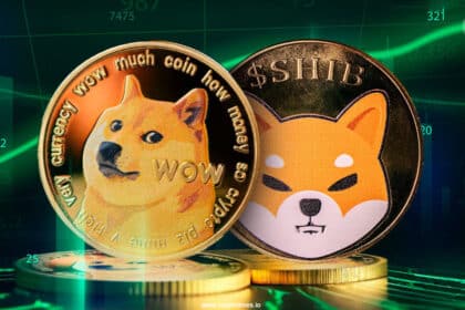 Dogecoin Or Shiba Inu Which Will Gain More From Bitcoin Ath