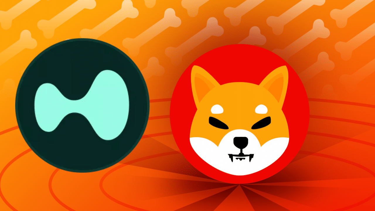 Hype Flips Shiba Inu To Enter Top 15 Crypto On Coinmarketcap