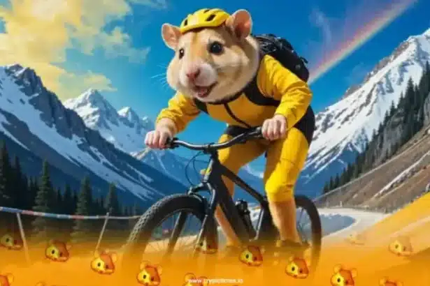 Hamster Kombat GameDev Cipher Code and Combo Card May 18