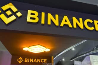 How To Find Crypto Assets With Binance Listing Potential?