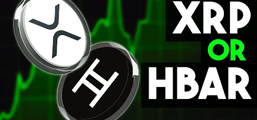 Is Hedera Hbar Better Than Ripple Xrp Detailed Comparison
