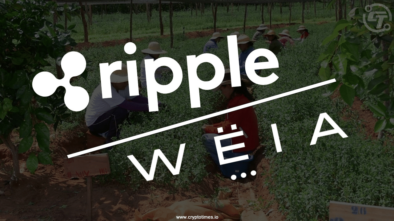 Ripple And Wëia Launch Blockchain Aid For Colombian Farmers