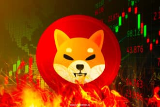 Shib Burn Rate Rockets 22604%, Shiba Inu Price To Rally 15%