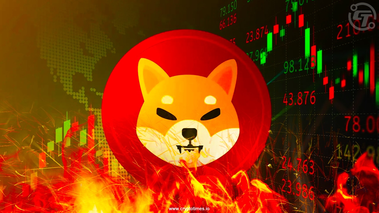 Shib Burn Rate Rockets 22604%, Shiba Inu Price To Rally 15%