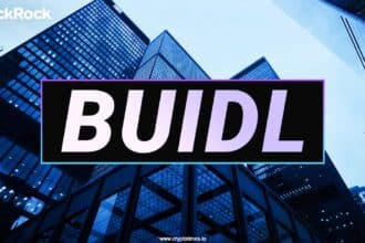 Securitize Unlocks Defi For Blackrock’s Buidl Fund 