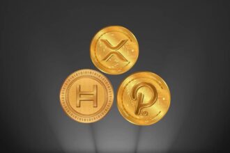 Upcoming Spot Crypto Etfs: Xrp, Hedera, Polkadot &Amp; More