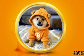 What Is Dog (Bitcoin) Reasons Behind Growing Trend &Amp; Price Surge