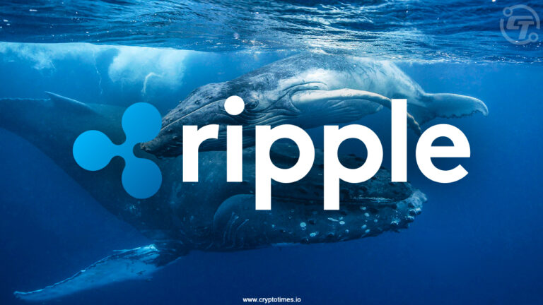 XRP Whales bought $900M, Is a Rally Incoming
