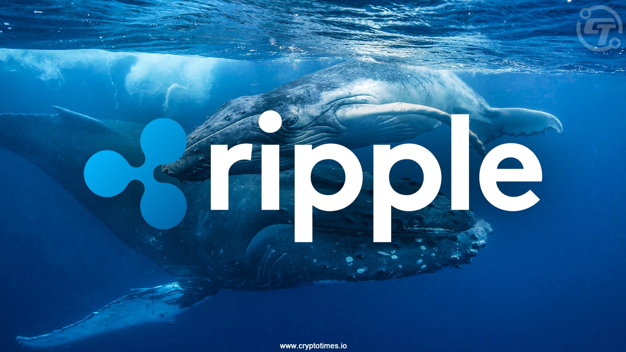 Xrp Whales Bought $900M, Is A Rally Incoming