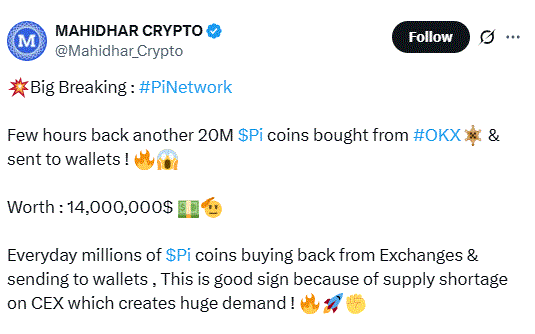 A Whale Purchased 20 Million Pi Coins